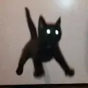 Neko